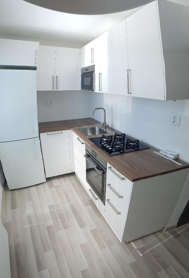 1+1 Apartment Znojmo